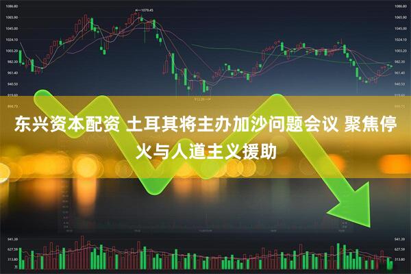 东兴资本配资 土耳其将主办加沙问题会议 聚焦停火与人道主义援助